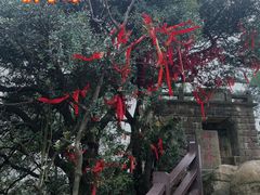 -缙云山景区