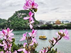 -柳侯公园