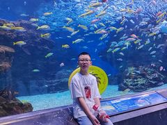 -海合安成都极地海洋公园