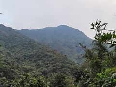 -梧桐山风景名胜区