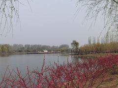 -东郊湿地公园