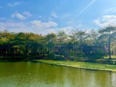 -田野绿世界