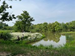 -西溪国家湿地公园