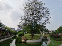 -陈李济中药博物馆