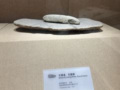-烟台市博物馆