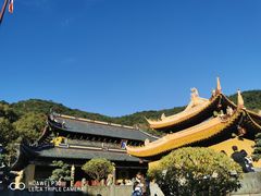-普陀山风景名胜区-法雨禅寺