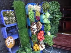 iphone_upload_pic-苍洱春饭店