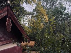 -玉泉观