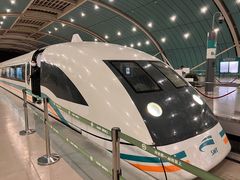 -龙阳路磁悬浮列车总站-停车场