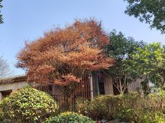 -凤翔首邑温泉度假村