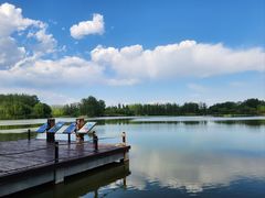 -翠湖国家城市湿地公园