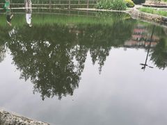 -成都市活水公园