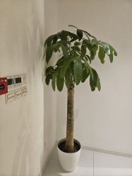 -贝黎诗SPA