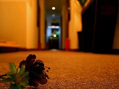 -Together·泰式按摩精油SPA(天山店)