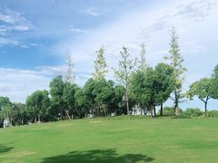 -广富林郊野公园