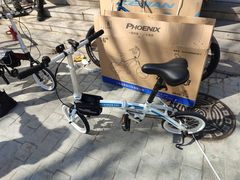 -道路口单车爱瓦士dahon大行