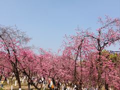 -昆明动物园