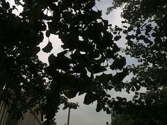 -辽宁大学(崇山校区)
