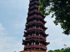 -大雁山风景区