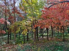 -长春市南湖公园