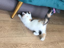 -沫儿·美甲美睫·半永久·皮肤管理