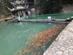 -龙瀑仙洞