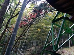 -藏龙百瀑风景区