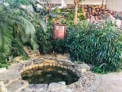 -中家鑫园温泉酒店鑫悦汤泉