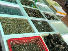 -外伶仃岛海鲜市场