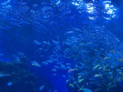 -海合安成都极地海洋公园