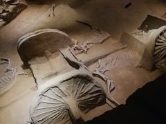 -洛阳周王城天子驾六博物馆