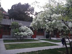 -颐和宾馆宴会厅