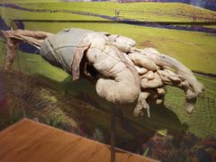 -中国大熊猫保护研究中心雅安碧峰峡基地