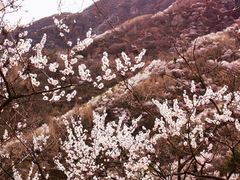 -妙峰山风景名胜区