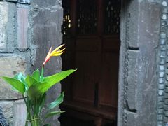 -鱼桥巷·美学川菜