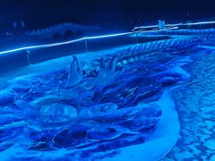 -长春市南湖公园