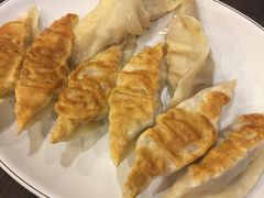 -高雄杨宝宝锅贴