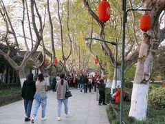 -杭州黄龙洞