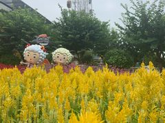 -百万葵园