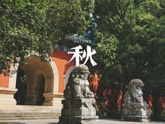 -灵谷景区