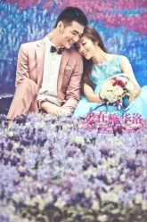 -施华洛婚纱摄影会所(范阳中路店)