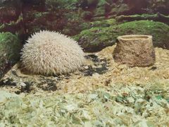 -北海海底世界