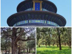 -天坛公园
