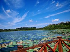 -丁香湖公园
