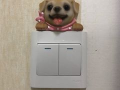-宠爱国际动物医院· 猫科· 外科·中兽医(长白店)