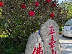 -五台山风景名胜区