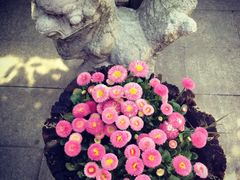 iphone_upload_pic-旅马餐厅(茅家埠店)