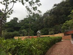 -香港大学