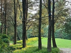 -Seesaw Coffee(上海国金中心店)