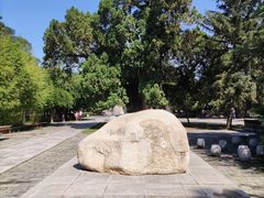 -黄帝陵